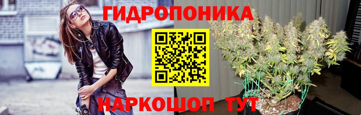 Кисловодск  Марихуана LSD WEED  Вход с VPN  Каннабис план  Бошки Шишки SATIVA & INDICA 